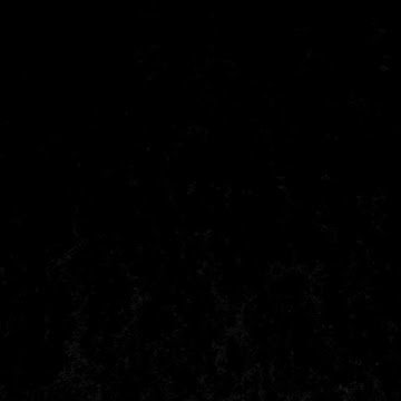 Photo de Profil de Ranime Sy