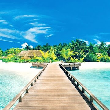 Photo de Profil de Alain